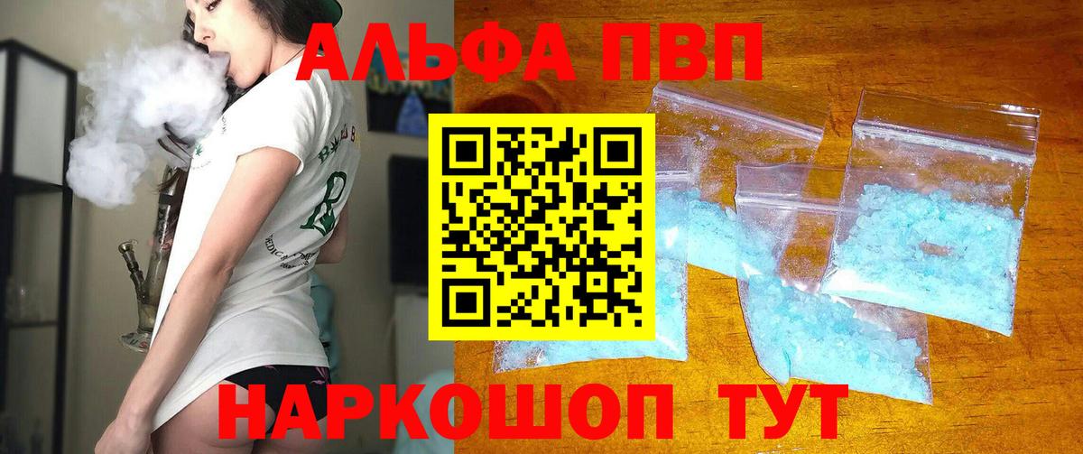 Альфа ПВП СК КРИС Котлас