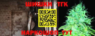 МДПВ Гатчина