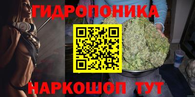 ALPHA PVP Гай