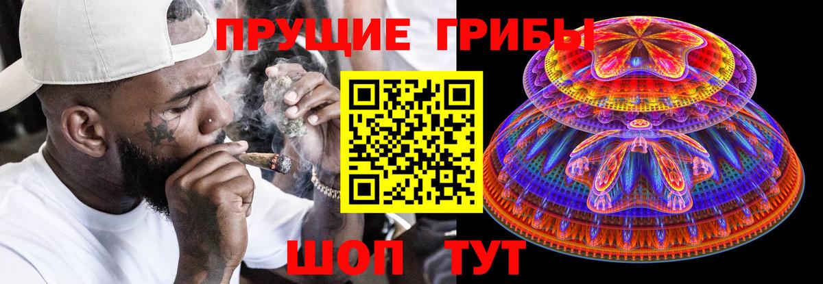 Котлас  Псилоцибиновые грибы Magic Shrooms  Псилоцибиновые грибы прущие грибы  цена наркотик  Вход с VPN 