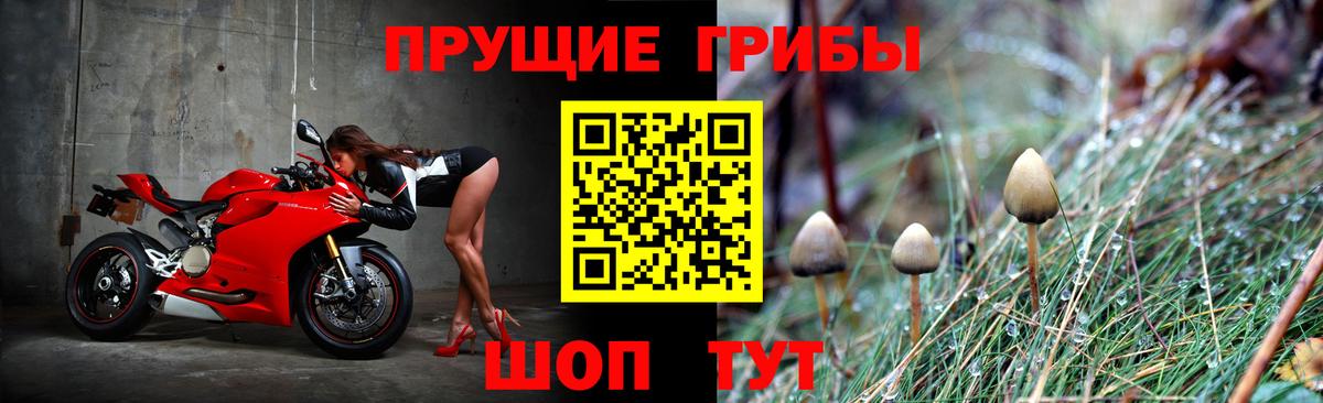 Псилоцибиновые грибы MAGIC MUSHROOMS Котлас